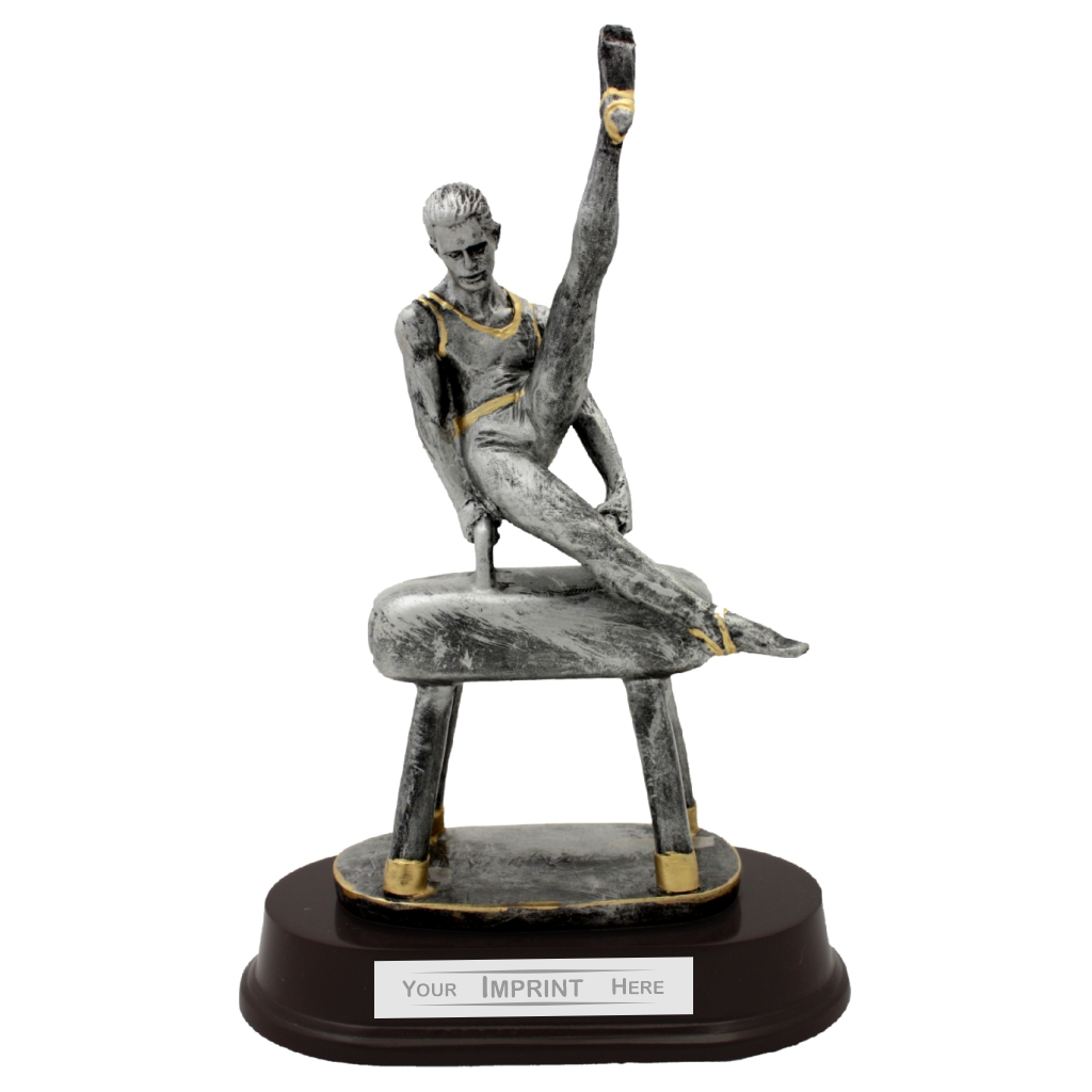 11" Male Gymnastics Resin Award [RES-101]