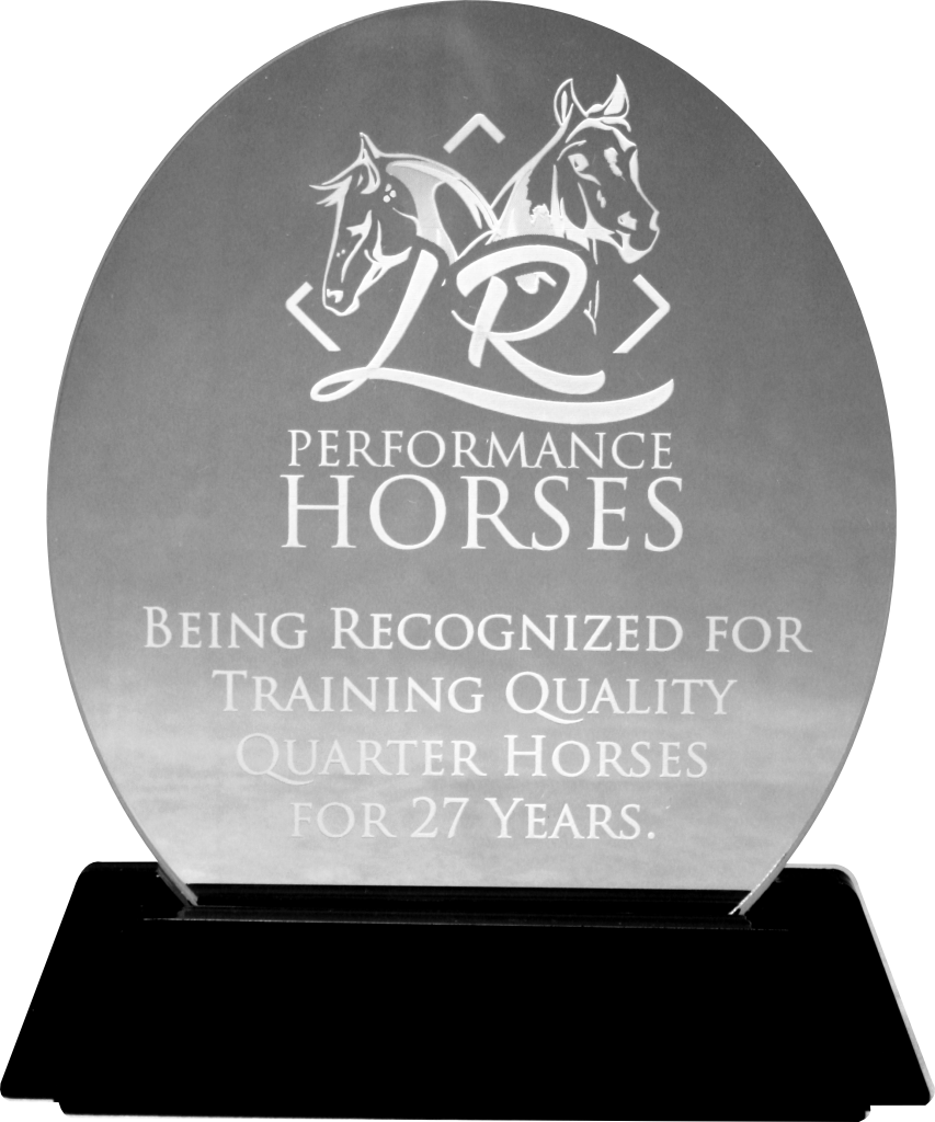 Oval Stock Acrylic Award