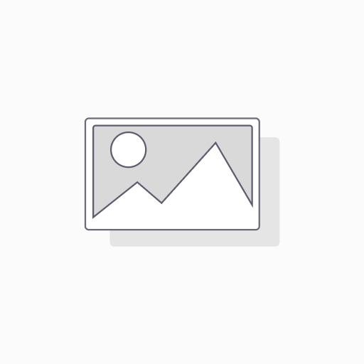 New Custom Logo Charge